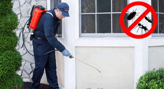 Gökçeada Böcek ve Haşere İlaçlama böcek ilaçlama ve haşere kontrolü — ilaclama-tr.com